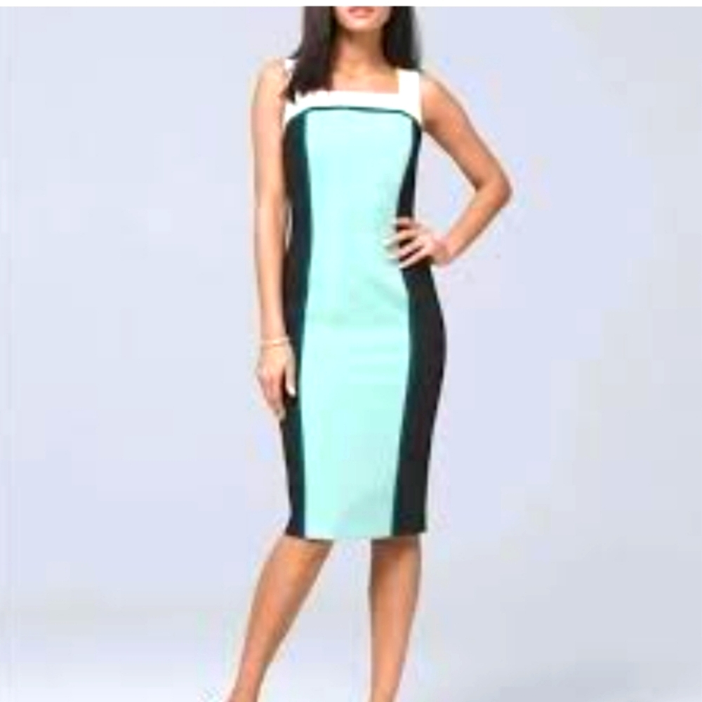 White House Black Market Mint Green and Black Colorblock Midi Dress